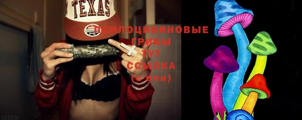 ГАЛЛЮЦИНОГЕННЫЕ ГРИБЫ Белокуриха