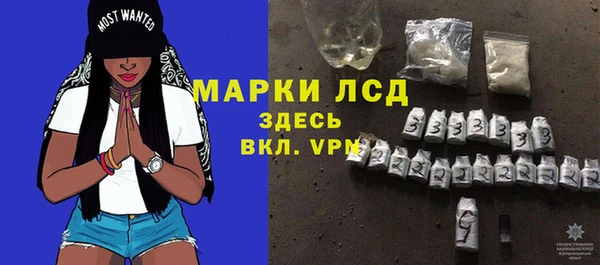 ГАЛЛЮЦИНОГЕННЫЕ ГРИБЫ Белокуриха