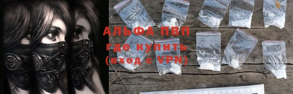 ГАЛЛЮЦИНОГЕННЫЕ ГРИБЫ Белокуриха