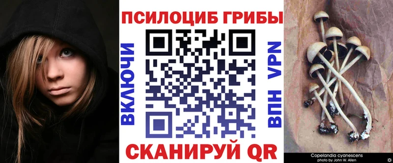 Галлюциногенные грибы Psilocybe  Энем 